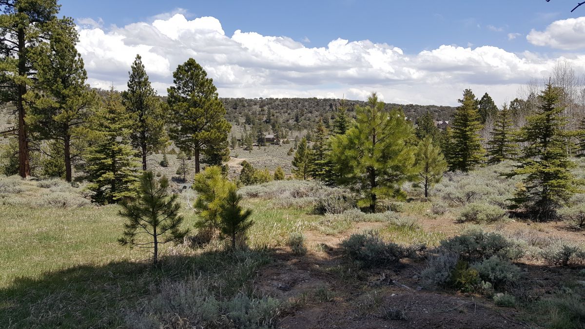 465 N Lpson Creek Dr., Panquitch, UT 84759
