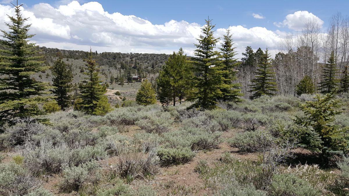465 N Lpson Creek Dr., Panquitch, UT 84759
