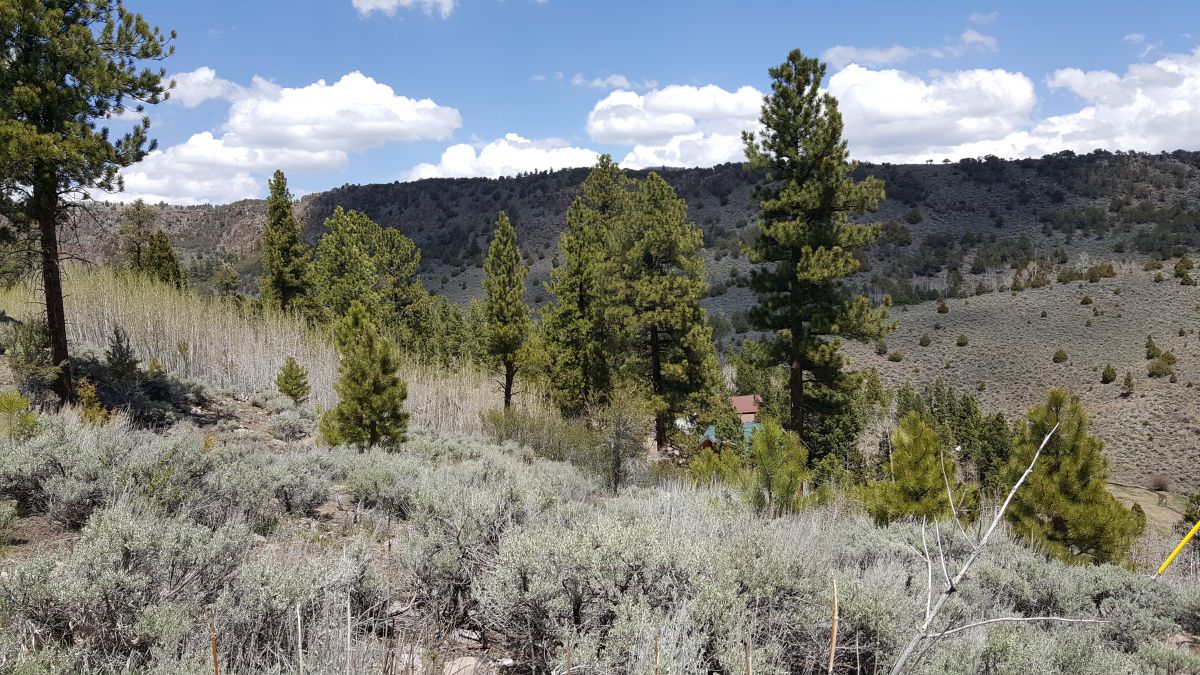 465 N Lpson Creek Dr., Panquitch, UT 84759
