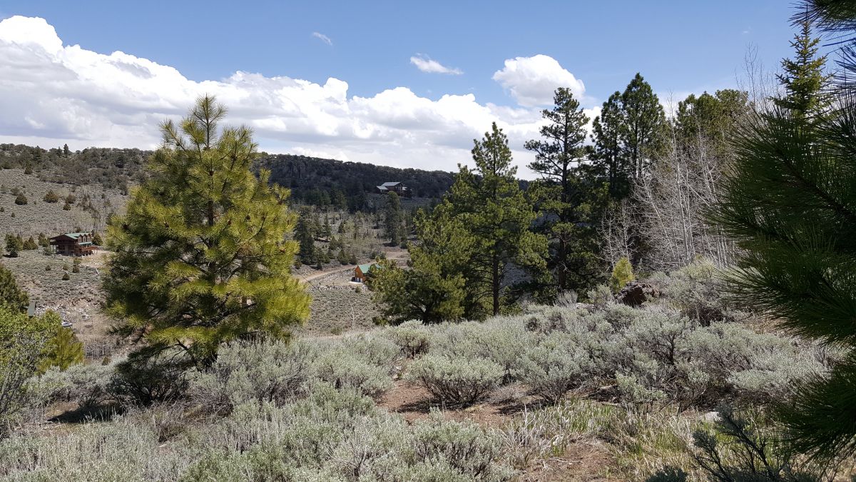 445 n Ipson, Panquitch, UT 84759