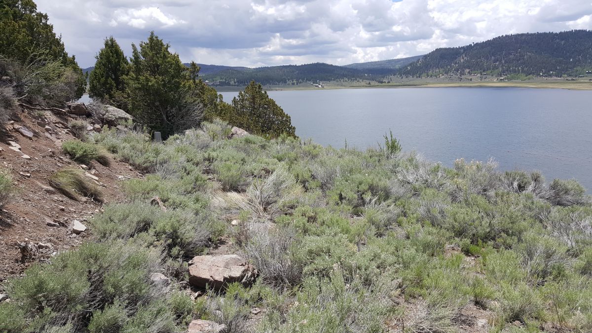 Lots 3&4 Beaver Dam Esates, Panquitch, UT 84759