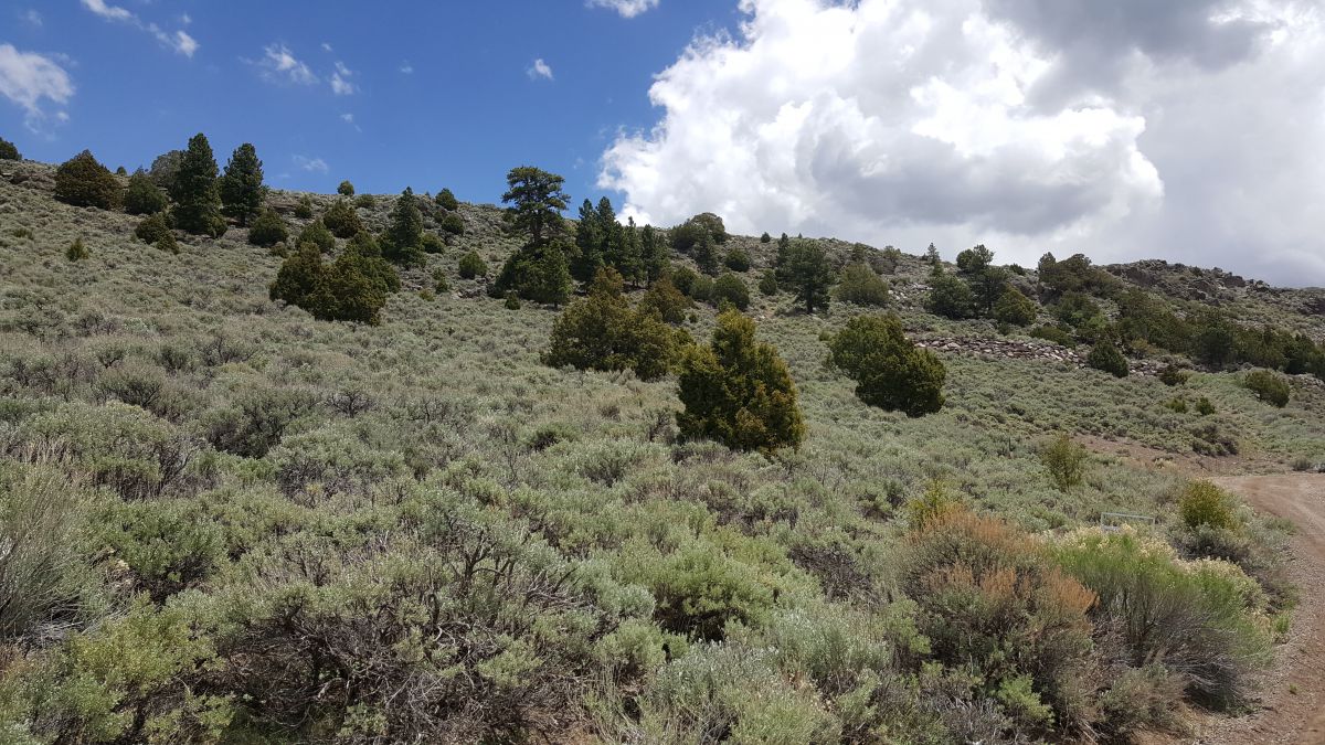 Lots 3&4 Beaver Dam Esates, Panquitch, UT 84759