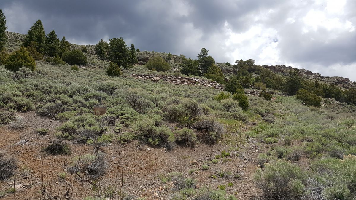 Lots 3&4 Beaver Dam Esates, Panquitch, UT 84759