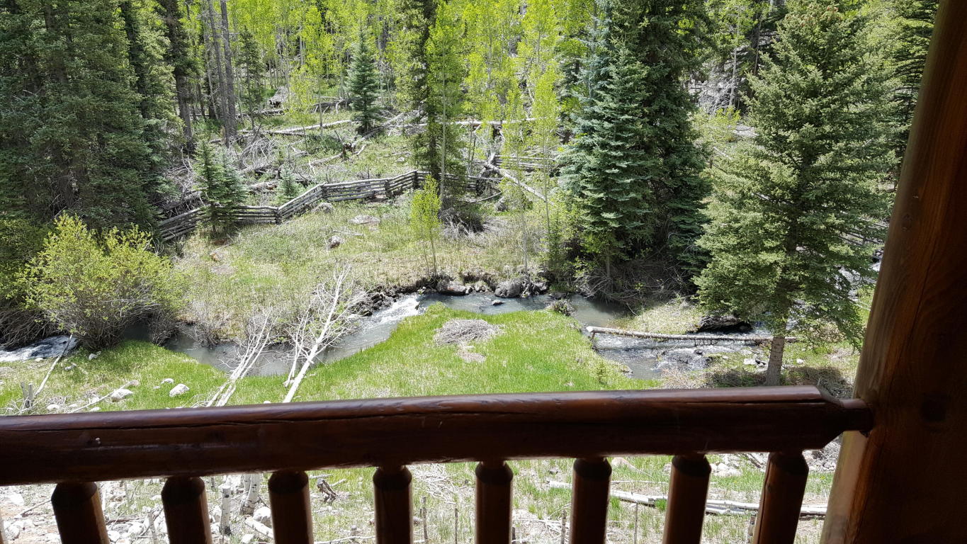 1087 W Dixie Creek LN, Panguitch, UT 84759