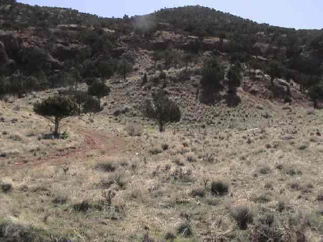 2116 N Foothill DR, Paragonah, UT 84760