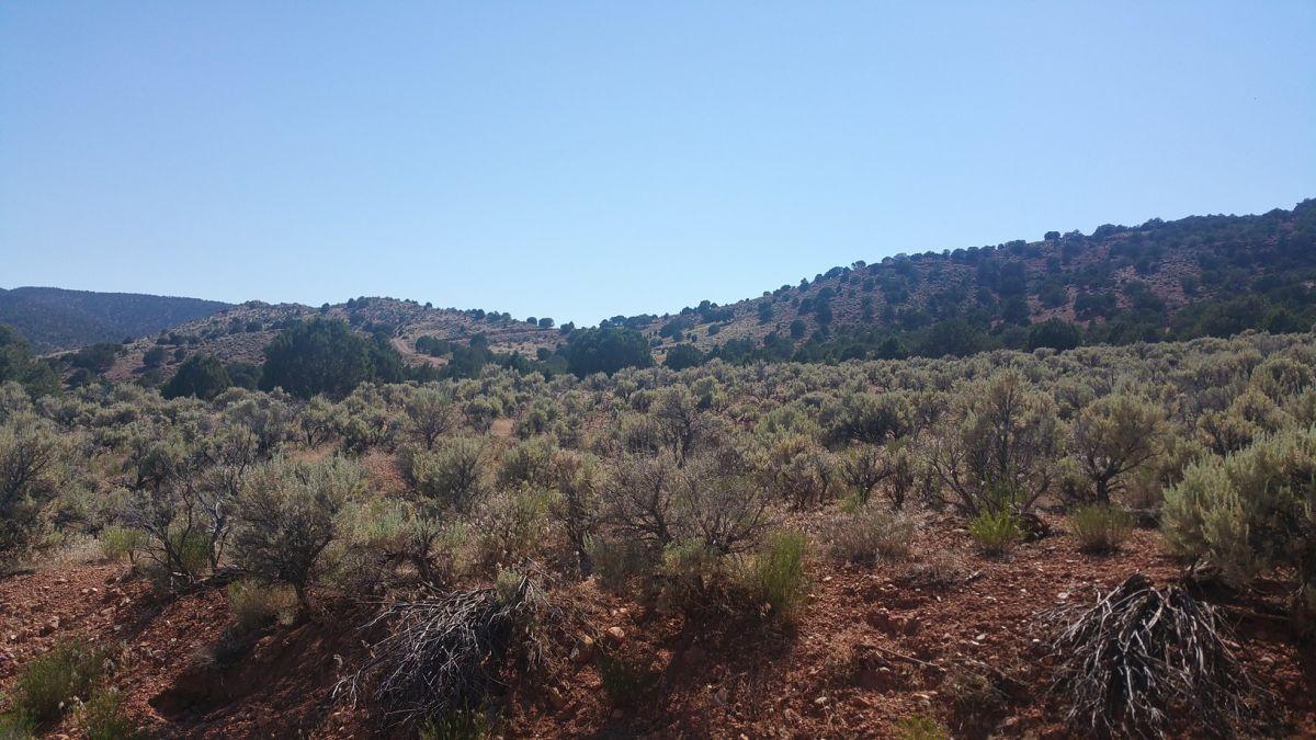 Sec 25, T33S, R10W, Parowan, UT 84761