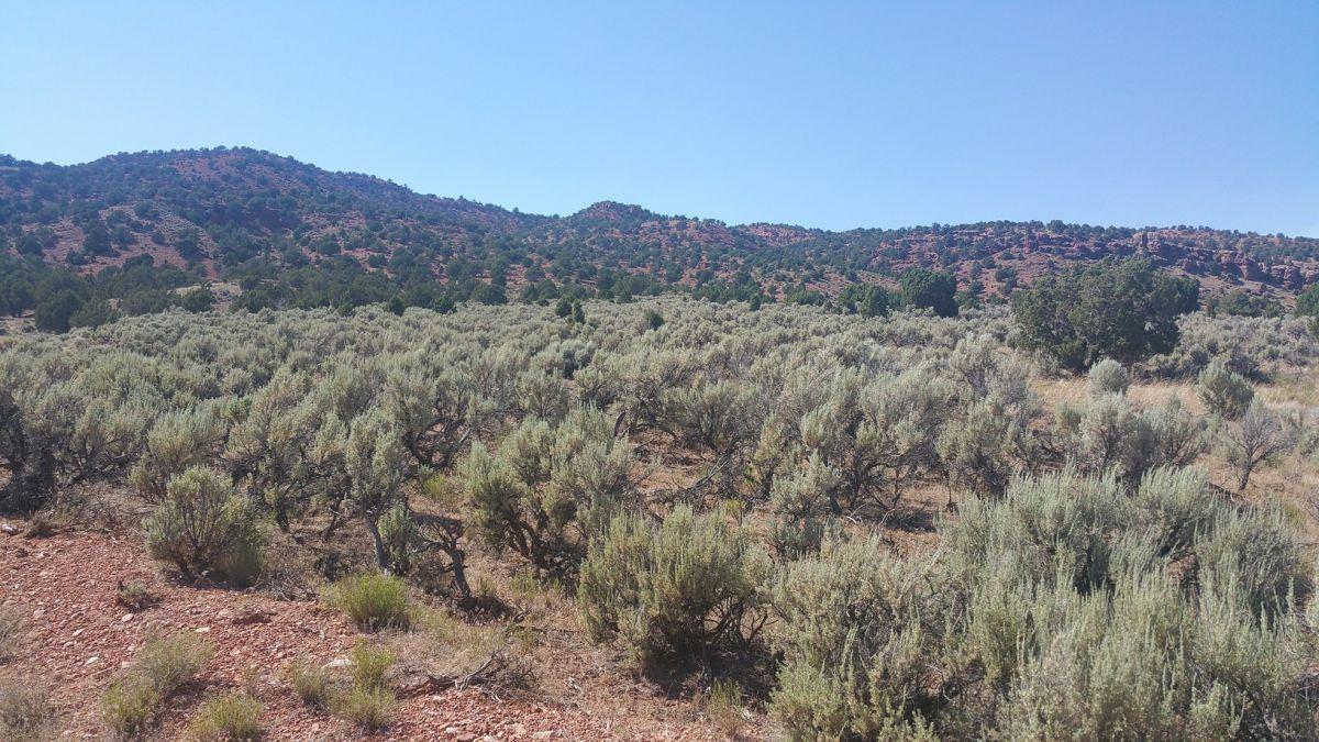 Sec 25, T33S, R10W, Parowan, UT 84761