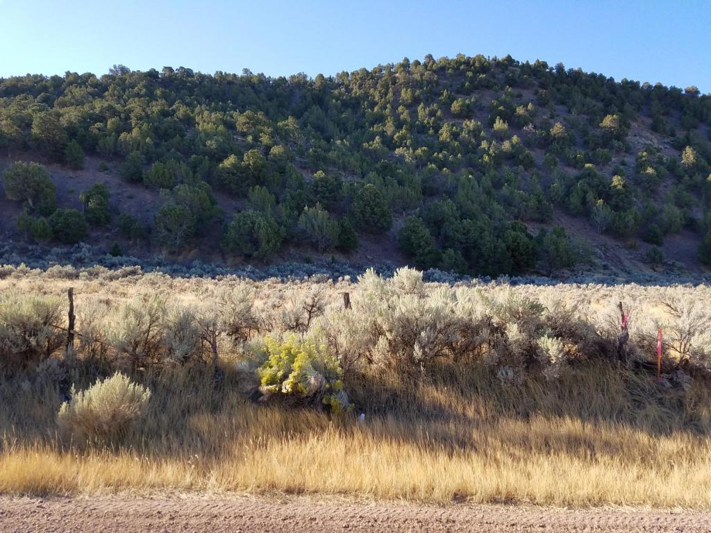 400 W Old Hwy 91, Parowan, UT 84761