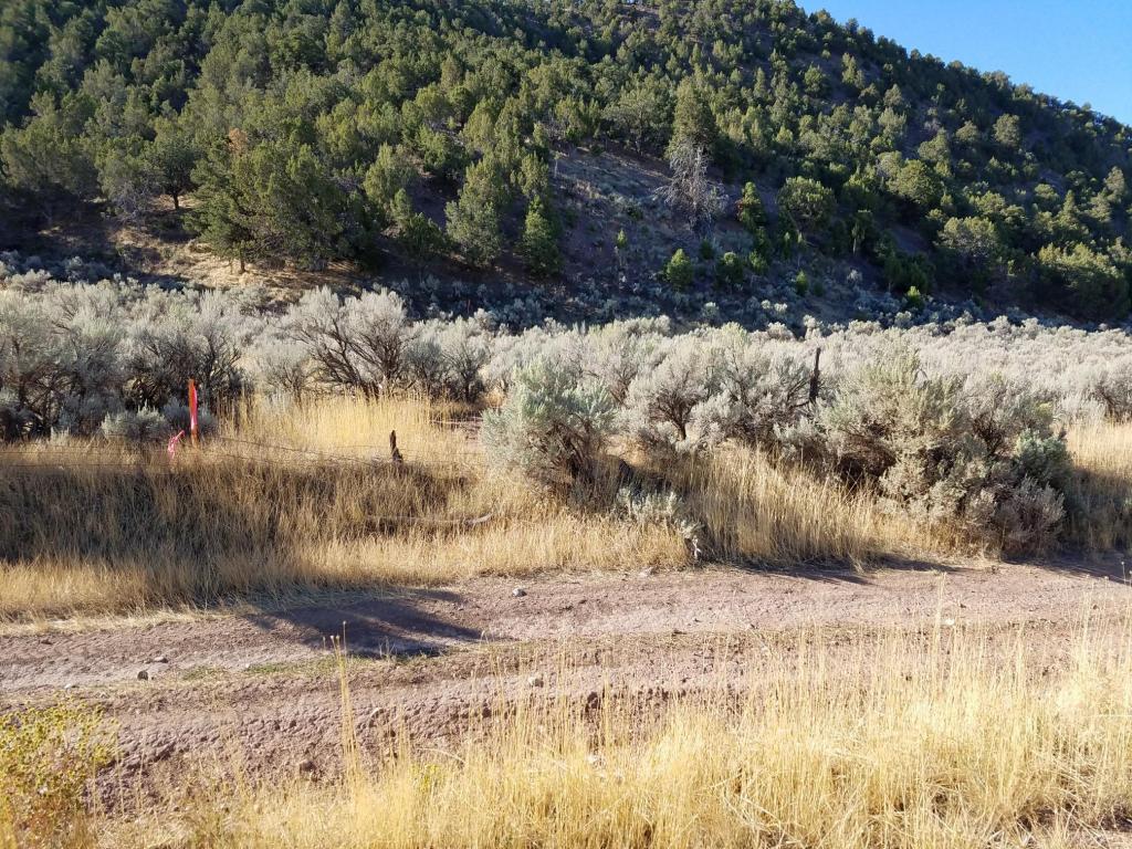 400 W Old Hwy 91, Parowan, UT 84761