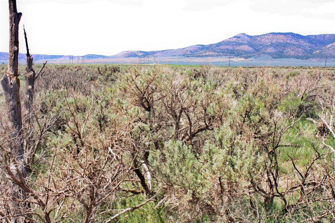 4431 N 300 E, Parowan, UT 84761