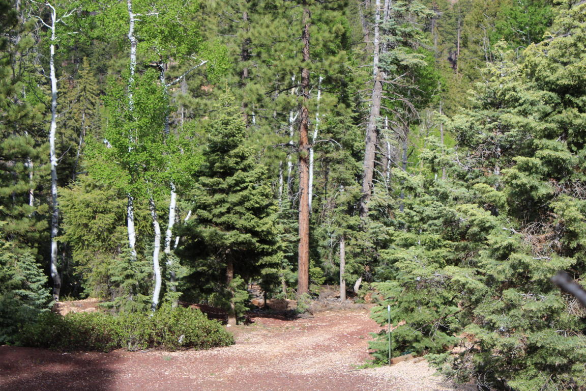 210 S Buckhorn Trail, Duck Creek, UT 84762