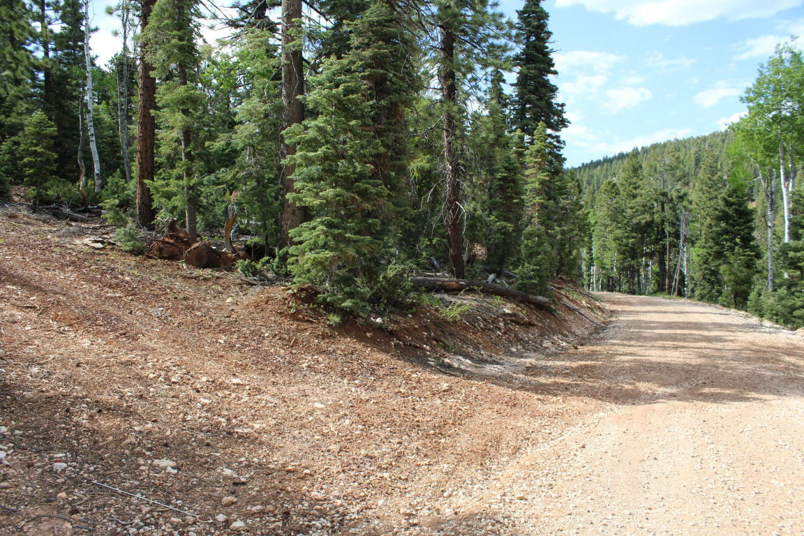 210 S Buckhorn Trail, Duck Creek, UT 84762