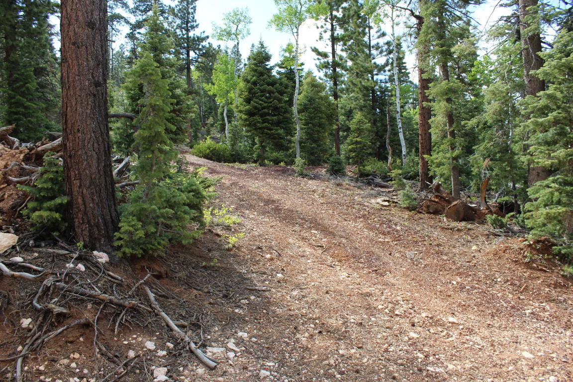 210 S Buckhorn Trail, Duck Creek, UT 84762