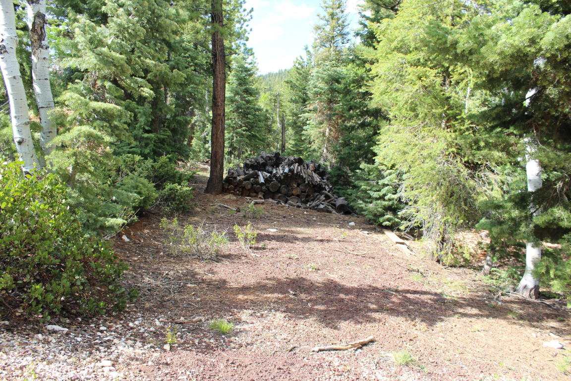 210 S Buckhorn Trail, Duck Creek, UT 84762