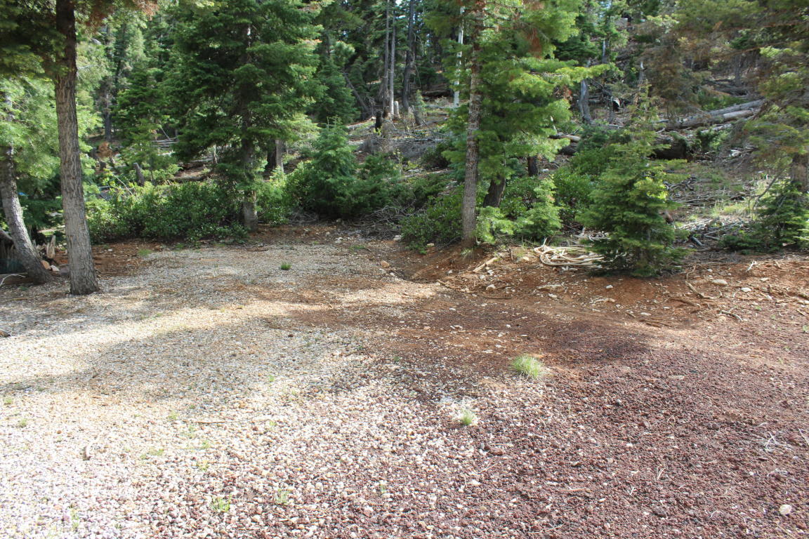 210 S Buckhorn Trail, Duck Creek, UT 84762