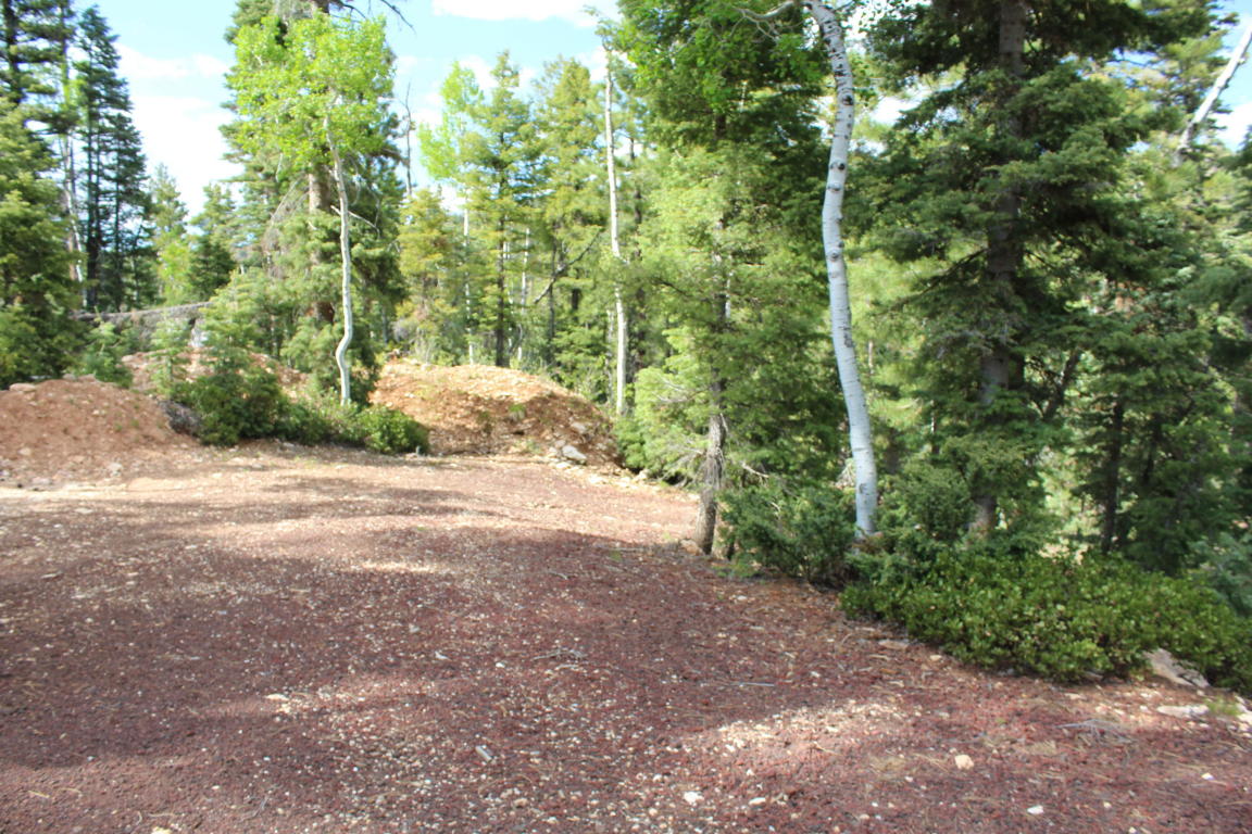 210 S Buckhorn Trail, Duck Creek, UT 84762