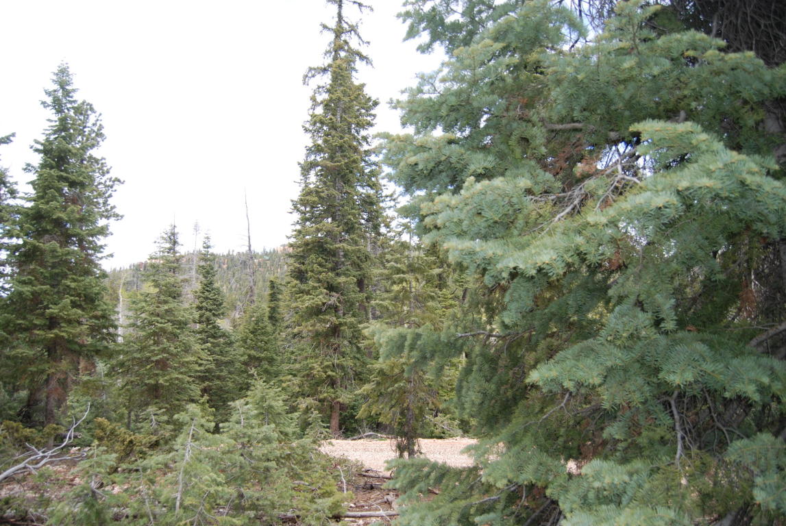 1095 W Shale CIR, Duck Creek, UT 84762