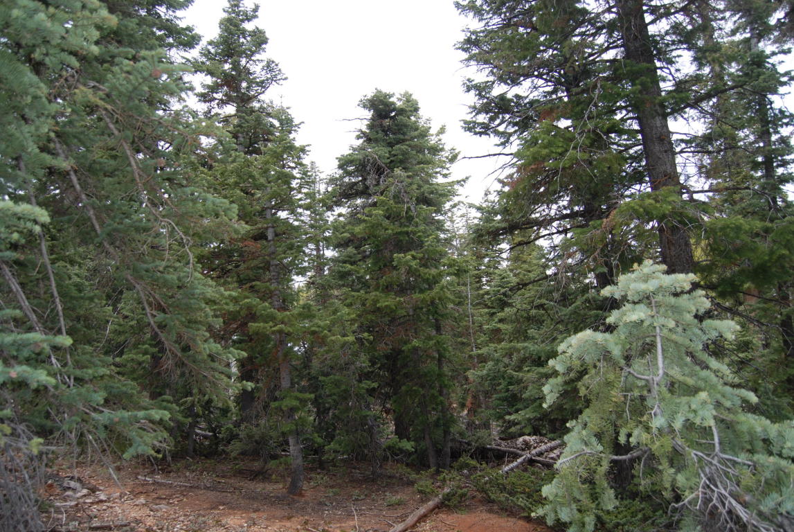 1095 W Shale CIR, Duck Creek, UT 84762