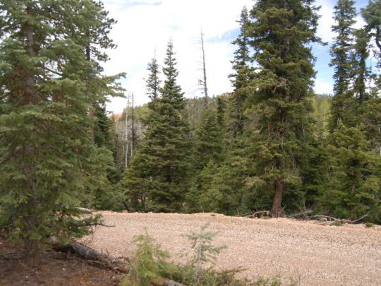 1095 W SHALE Cir, Duck Creek Village, UT 84762