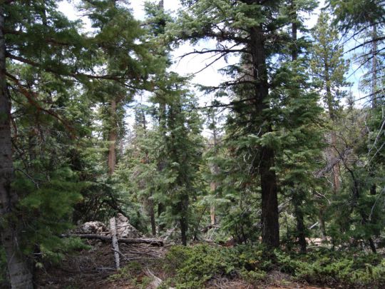 1095 W SHALE Cir, Duck Creek Village, UT 84762
