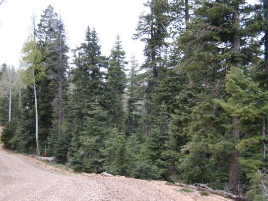 1095 W SHALE Cir, Duck Creek Village, UT 84762