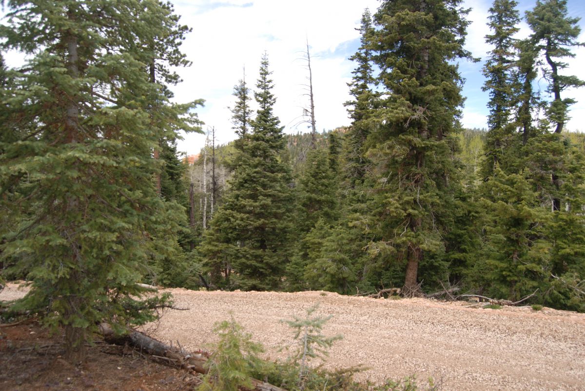 1095 W Shale Cir #E, Duck Creek Village, UT 84762
