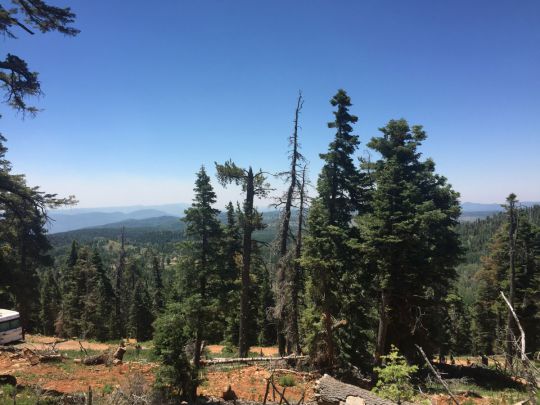 6370 W Grizzly Ln, Duck Creek Village, UT 84762