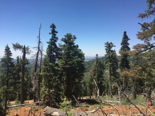 6370 W Grizzly Ln, Duck Creek Village, UT 84762