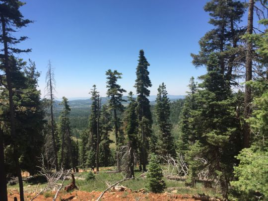 6370 W Grizzly Ln, Duck Creek Village, UT 84762