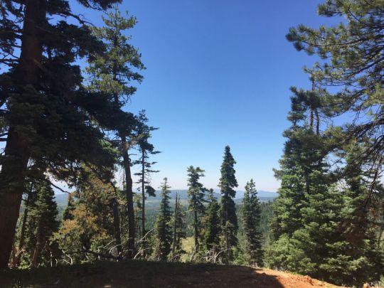 6370 W Grizzly Ln, Duck Creek Village, UT 84762