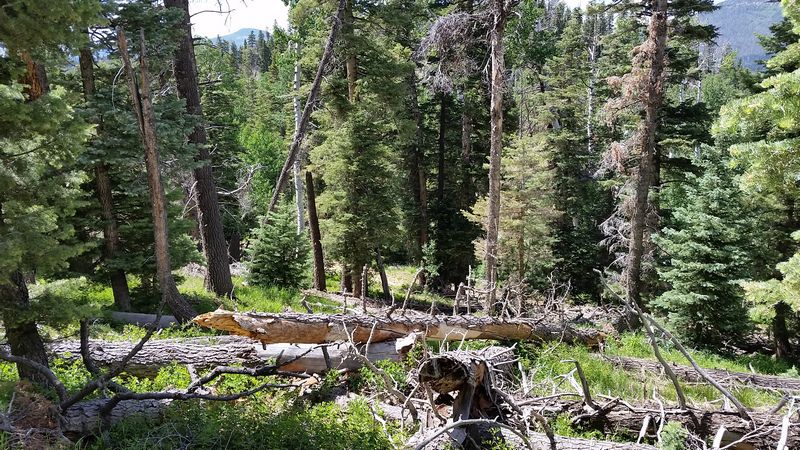 6455 W Kodiak Dr, NLE 1-17&amp;8, Duck Creek Village, UT 84762