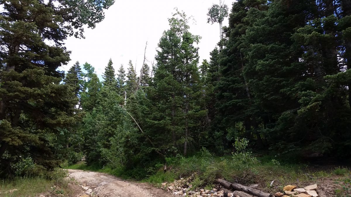 6455 W Kodiak Dr, NLE 1-17&8, Duck Creek Village, UT 84762