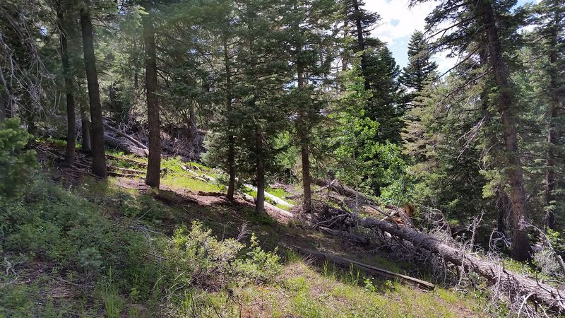 6455 W Kodiak Dr, NLE 1-17&8, Duck Creek Village, UT 84762