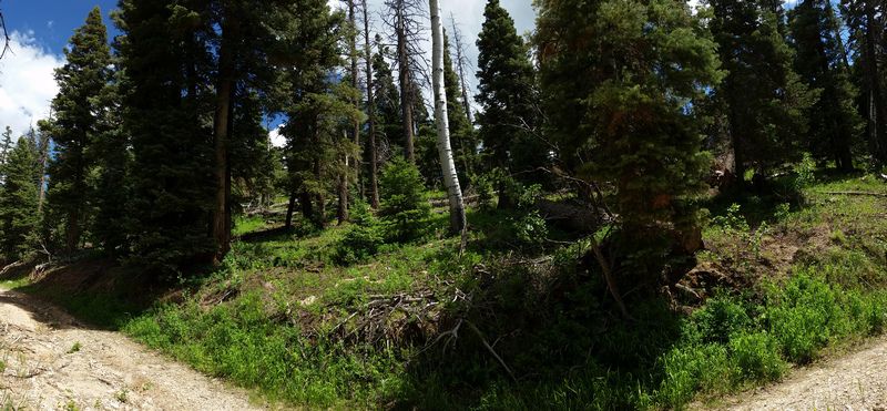 6455 W Kodiak Dr, NLE 1-17&8, Duck Creek Village, UT 84762
