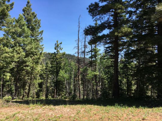 810 W Big Horn, Duck Creek Village, UT 84762