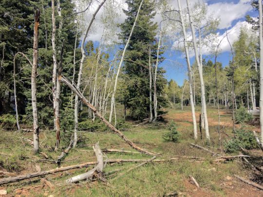 445 S Scenic Dr, Duck Creek Village, UT 84762