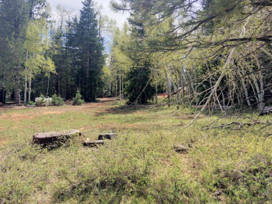 445 S Scenic Dr, Duck Creek Village, UT 84762
