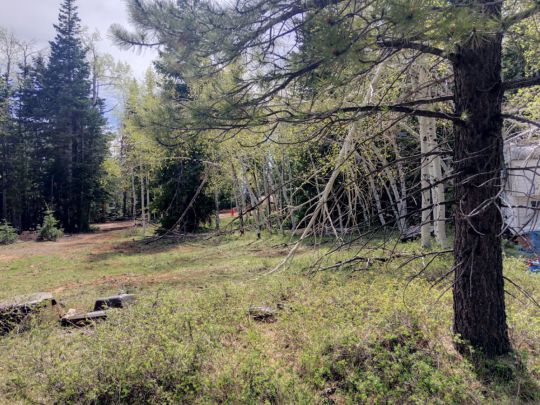 445 S Scenic Dr, Duck Creek Village, UT 84762