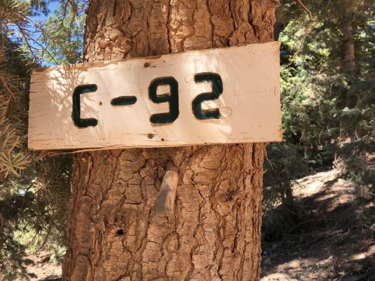 805 W Cascade Dr, Duck Creek Village, UT 84762