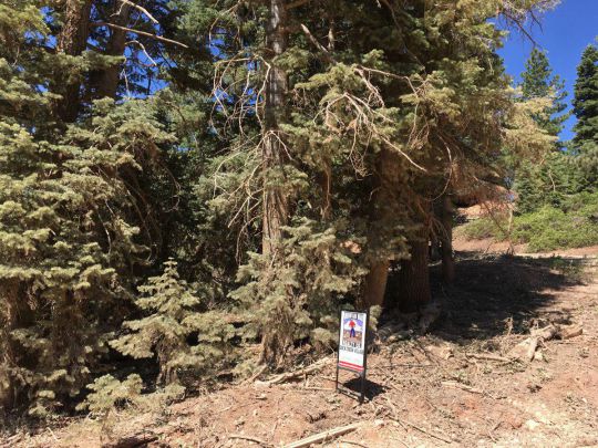 805 W Cascade Dr, Duck Creek Village, UT 84762