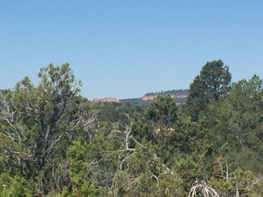 S White Oak St, Mount Carmel, UT 84762