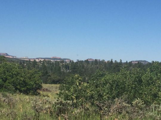 S White Oak St, Mount Carmel, UT 84762
