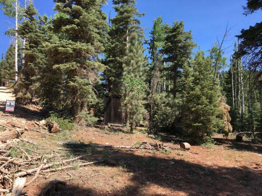335 S Silver Spruce Dr, Duck Creek Village, UT 84762