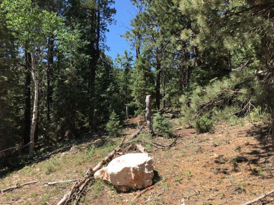 805 W Doe, Duck Creek Village, UT 84762