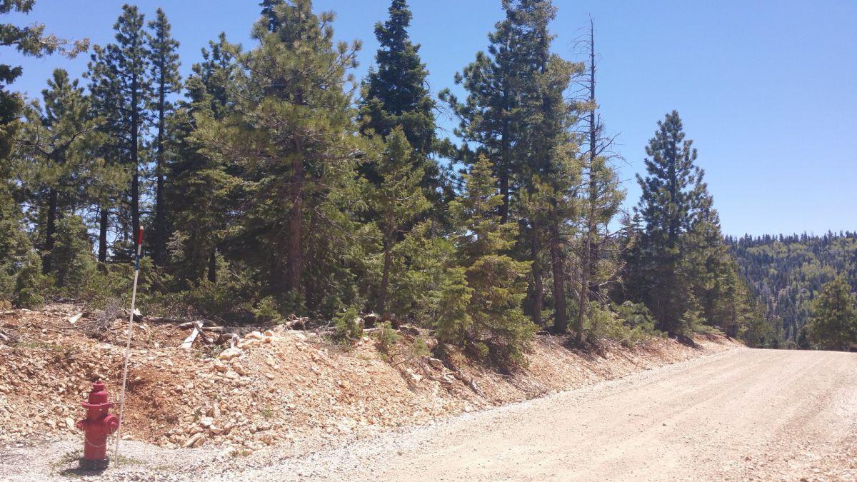 1020&1030 W Cascade DR., ZVME D-55 & 56, Duck Creek, UT 84762