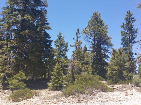 1020 &amp;1030 W Cascade Dr, Duck Creek Village, UT 84762