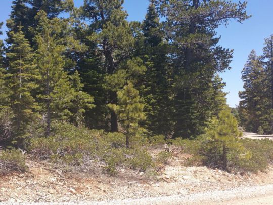 1020 &1030 W Cascade Dr, Duck Creek Village, UT 84762
