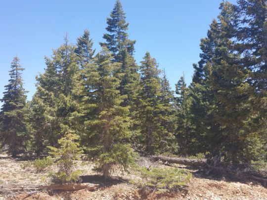 1020 &1030 W Cascade Dr, Duck Creek Village, UT 84762