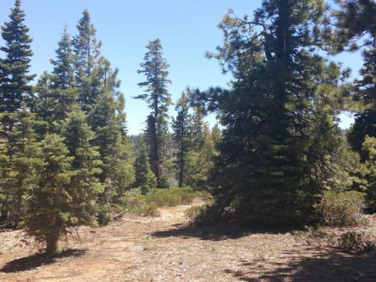 1020 &1030 W Cascade Dr, Duck Creek Village, UT 84762