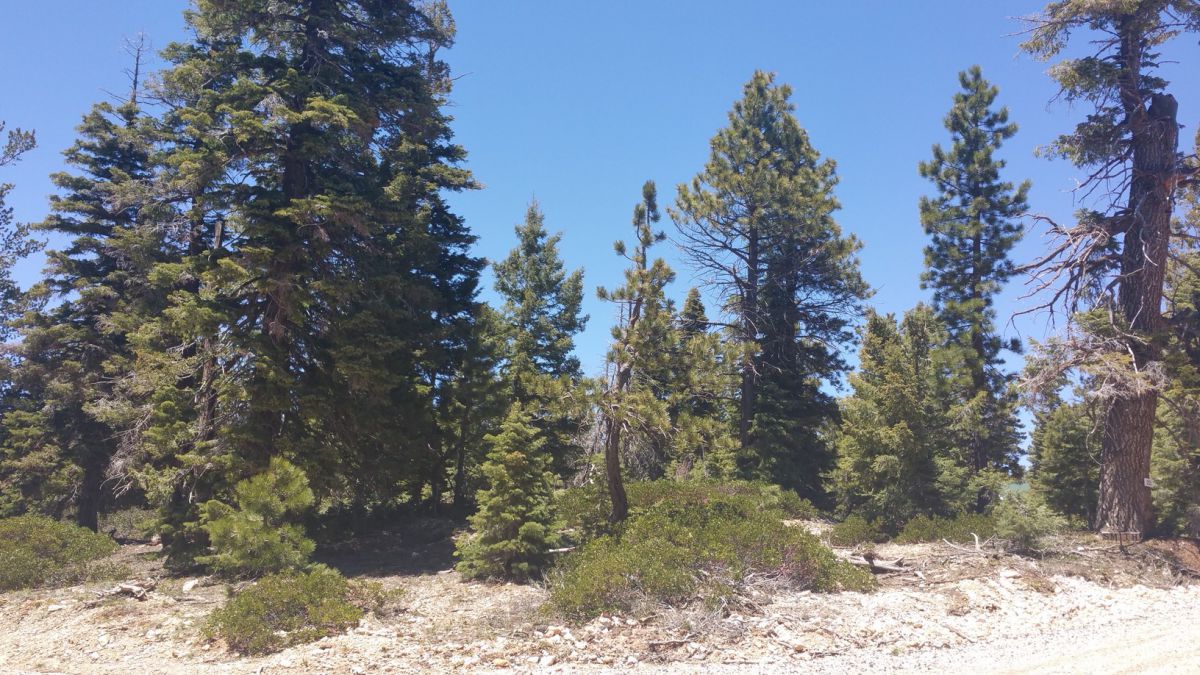 1020 &amp; 1030 W Cascade Dr., ZVME D-55 &amp; 56, Duck Creek Village, UT 84762